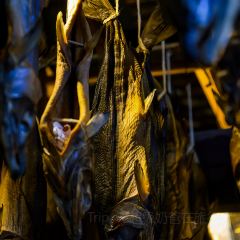 Kikkawa張用戶圖片