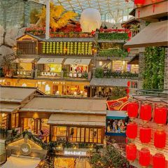 发记四川大盆鱼 User Photo