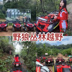 乡野小院 User Photo