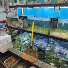 西渔市大排挡 User Photo