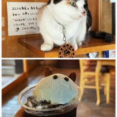 Tama Café User Photo