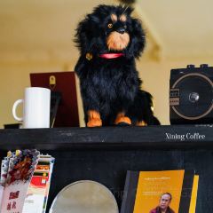 XINING COFFEE User Photo
