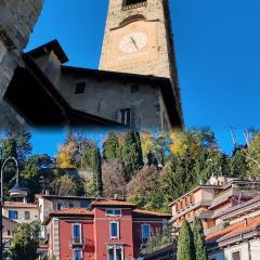 La ciotola User Photo