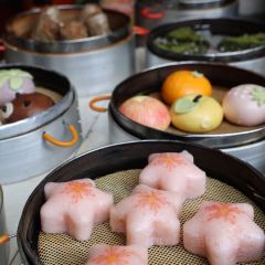 早茶街 User Photo