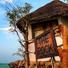 The Rock張用戶圖片