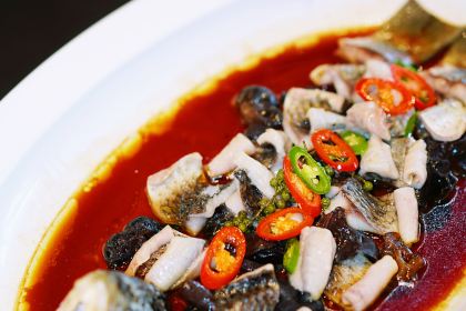 力哥金澜餐厅(东坡湖广场店)