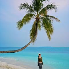 Mandhoo Restaurant User Photo