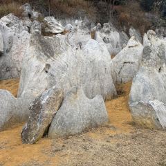 新农门客家院 User Photo