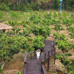 PenLaos User Photo