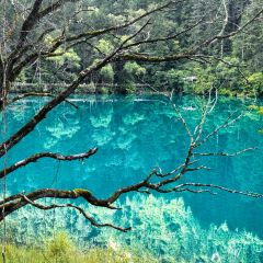 LIU LAO YAO MAO NIU ROU SHANG GUO User Photo