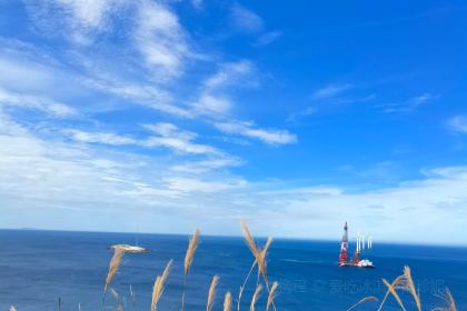 初见·创意料理寿司(平潭店)