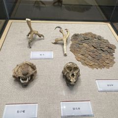 西昌邛海賓館·水雲間湖畔西餐廳張用戶圖片