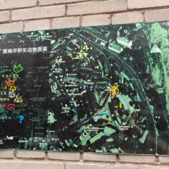 蔡大嫂餐馆 User Photo