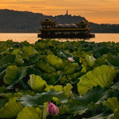 大井巷 User Photo