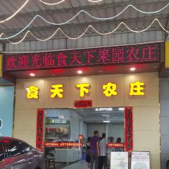 食天下果园农庄(金水台特色老店) User Photo