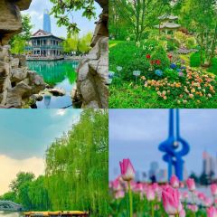 孙家糖油条 User Photo