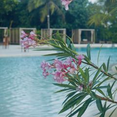 Fari Beach Club User Photo