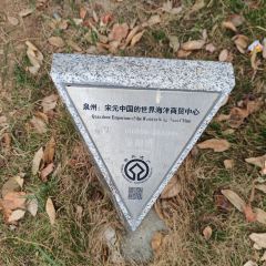 悅玲瓏·西關茗點張用戶圖片