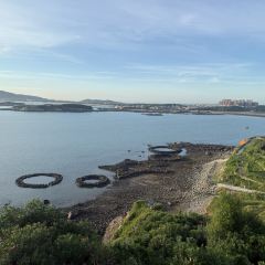 石井元宵店 User Photo