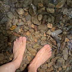 秀嫂挞粿 User Photo