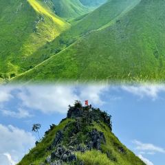 鲁朗石锅城·松茸天麻石锅鸡 User Photo