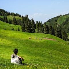 Shagou (miaopude) bishushanzhuang User Photo