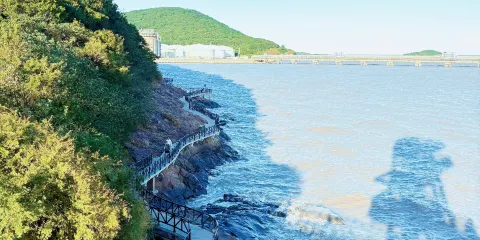 九龍山國家森林公園