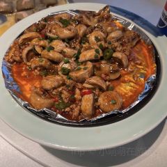 青曉張用戶圖片