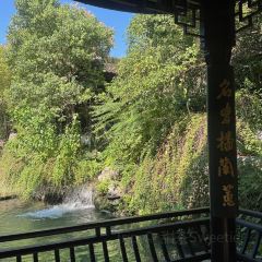 JUBILEE GARDEN User Photo
