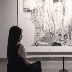 SUN JIA LONG XIA User Photo