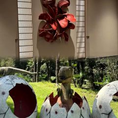 溧陽澗谷溫德姆至尊豪廷溫泉飯店·鐵板燒餐廳張用戶圖片