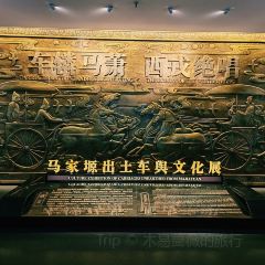 胖子鱼·鲜鱼火锅(全国总店) User Photo