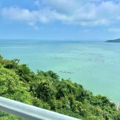 荣鼎煎包 User Photo