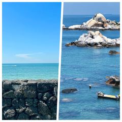 TIANCHENG NEST,SHARK-FINE&ABALONE User Photo