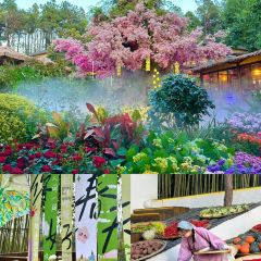 芙蓉裡•小漁村 （金星路店）張用戶圖片