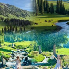 牧羊爷爷·新疆文化菜 User Photo