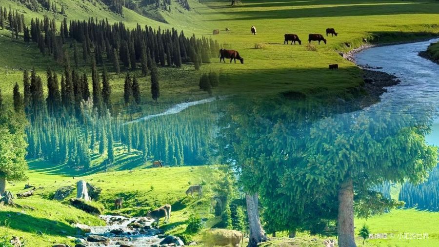 牧羊爷爷·新疆文化菜