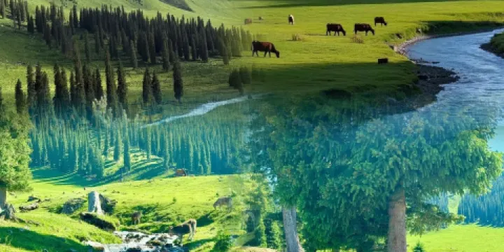 牧羊爺爺·新疆文化菜