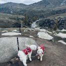 M42616**** 世熙天悦酒店（陽朔西街店）優惠