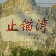 Hong fang zi yu jia xiao yuan User Photo