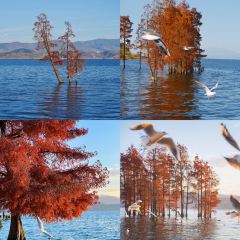 喜洲翰林破酥粑粑(壹号店) 여행 사진