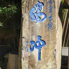 邓氏大薄片 User Photo