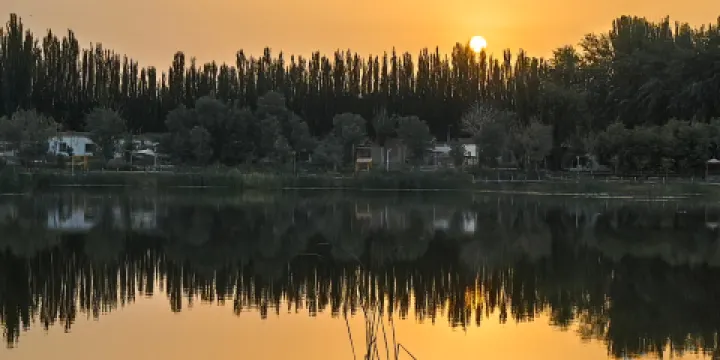 尼雅灣濕地公園