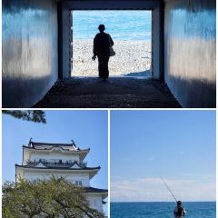 Odawara User Photo