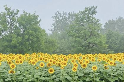 人民公社(神农北路店)