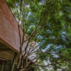爸爸的房子民宿餐厅 User Photo