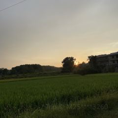 桃花早餐店張用戶圖片