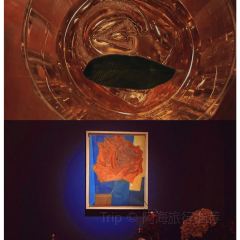 Paper Planes User Photo