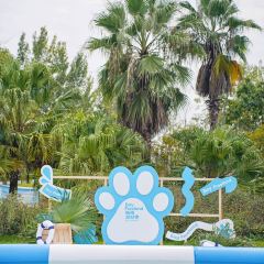 中旅·海泉湾 User Photo