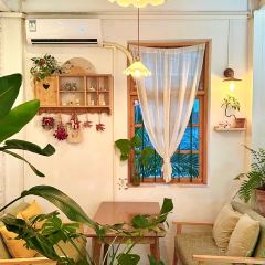 樹Cafe張用戶圖片